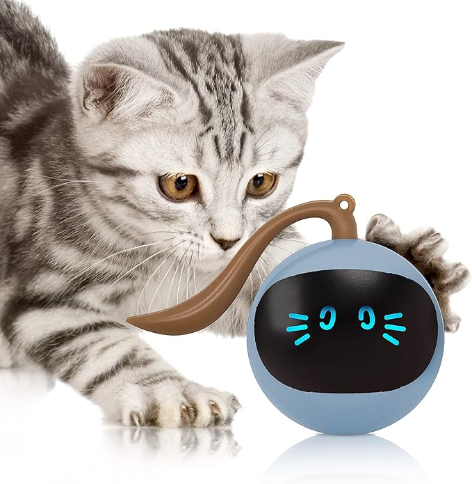 FOFOS Cat Toys 360°Self Rolling Ball Toy Interactive Toys Cat Wand Teaser Toys USB Charging Hunting Exercise Toys Indoor Gifts for Kitten/Puppy/Small Dogs (Blue)