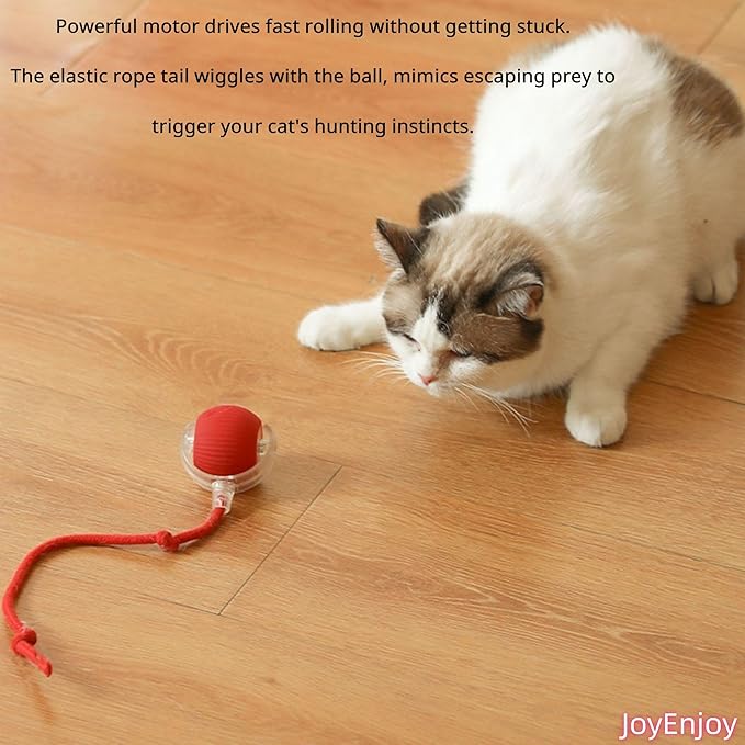 Interactive Cat Toy Ball Automatic Rolling Smart Cat Ball with Tail Motion Activated USB Rechargeable 3 Speed Modes Bird Chirping Durable Silicone Pet Toy for Indoor Cats Multiple Colors (Blue)
