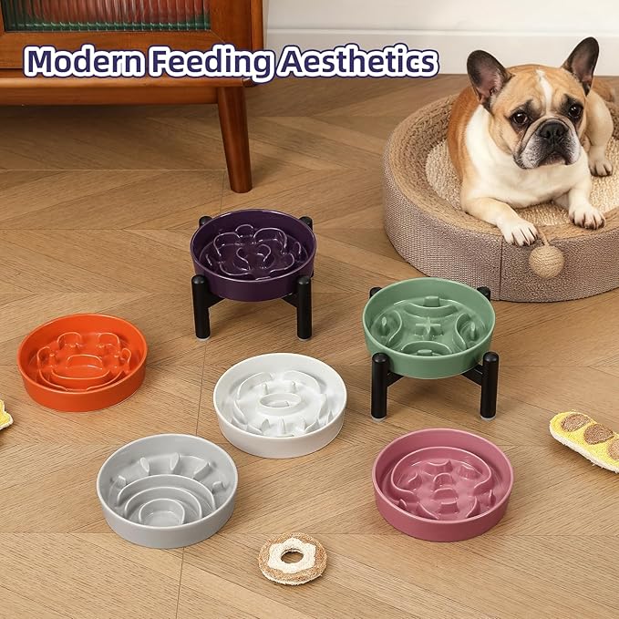Elevated Slow Feeder Dog Bowl - Ceramic Maze Dog Food Bowl with Stainless Stand - Raised Slow Feeder for Small Breeds to Control Eating Speed - 6.3 Inch - 0.8 Cups (80g) - Orange