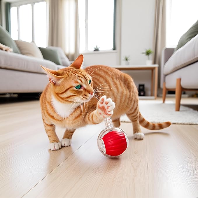 Interactive Dog Cat Toy Ball, Electric Automatic Rolling Moving USB Rechargeable Self Activated Stimulation Cat Toys for Indoor Cats and Dogs with Speedy Tail Rope(red).