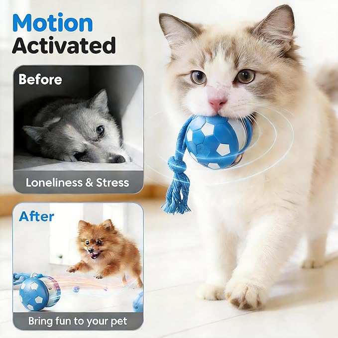 Interactive Cat Toy Ball, Motion Activated Smart Rolling Toy for Indoor Cats, Rechargeable Interactive Toy Ball for Indoor Cats Exercise, Automatic Moving Ball for Boredom to Keep Cats Busy