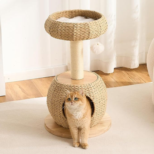 30" Modern Cat Tree Tower for Indoor Cats, Aesthetic Rattan Cat Furniture with Handwoven Wicker Cat Bed Cave, Ultra-Soft & Washable Cushions, Natural Sisal Scratching Post and Solid Wood Base