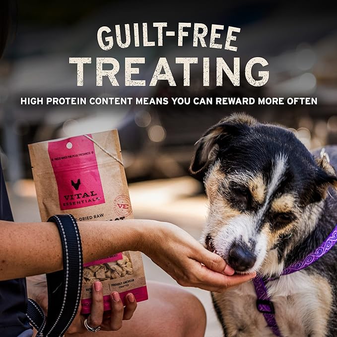 Vital Essentials Freeze Dried Minnows Dog Treats | Single Ingredient | Premium Quality | Grain Free Treats for Dogs, 2.5 oz Bag