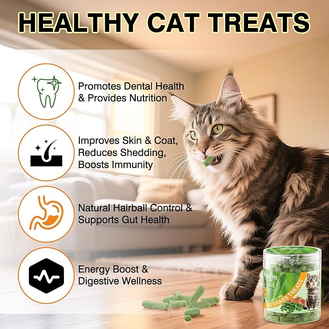 Freeze-Dried Raw Cat Treats for Dental Health & Hairball Control - Natural Chicken & Egg Yolk with Cat Grass - Lickable Snacks for Kittens & Adult Cats - Promotes Skin & Coat Care 3.24oz