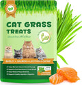 180g/6.4oz Cat Grass Dental Treats for Hairball Control, Natural Teeth Cleaning & Fresh Breath, Crunchy Catnip Flavored Biscuits with Barley Grass, Cat Training Rewards for All Breeds