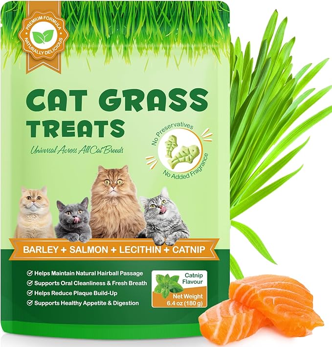 180g/6.4oz Cat Grass Dental Treats for Hairball Control, Natural Teeth Cleaning & Fresh Breath, Crunchy Catnip Flavored Biscuits with Barley Grass, Cat Training Rewards for All Breeds