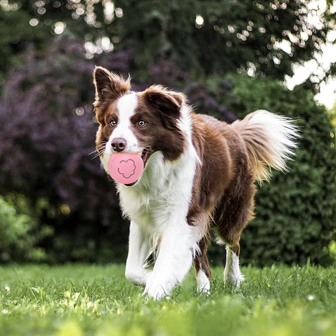 Interactive Dog Ball, Automatic Rolling Ball Toy for Dogs Cats with Intelligent Playtime, Bite, Portable Fun, Health Promotion, Boredom Relief, for Small Medium Large (Pink)