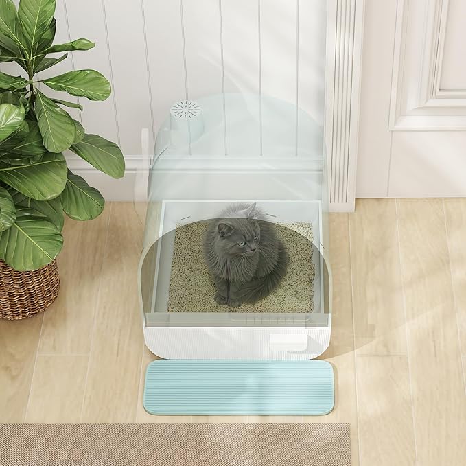 PawHut Cat Litter Box with Lid, Covered Litter Box for Indoor Cats with Tray, Scoop, Mat, Filter, 17" x 17" x 18.5", Green