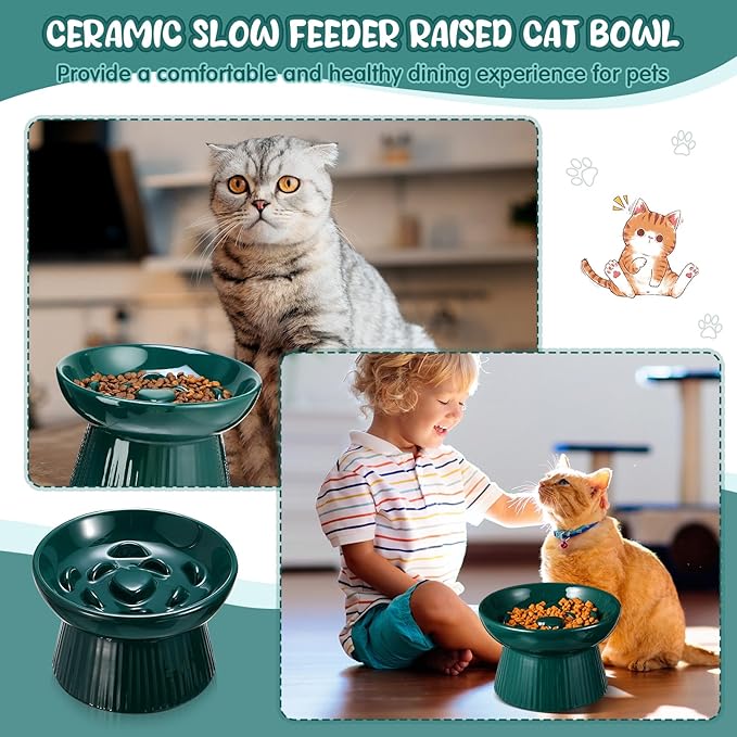 Tioncy 2 Pcs Raised Cat Slow Feeder Bowl Ceramic Elevated Cat Dog Food Bowl No Spill High Edge for Dry Wet Food and Water Easy to Clean, Dishwasher Safe (Dark Green)