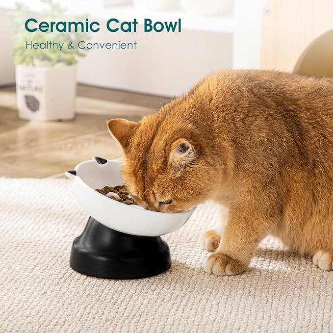 vancasso Slow Feeder Cat Bowls, Ceramic Elevated Slow Feeder Cat Bowls, Raised Food Bowl for Wet Food (Black)