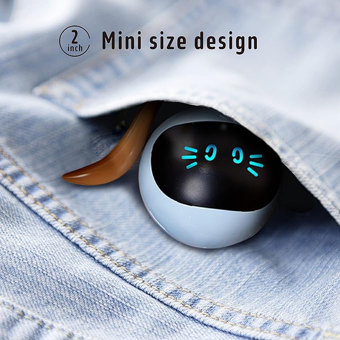 FOFOS Cat Toys 360°Self Rolling Ball Toy Interactive Toys Cat Wand Teaser Toys USB Charging Hunting Exercise Toys Indoor Gifts for Kitten/Puppy/Small Dogs (Blue)