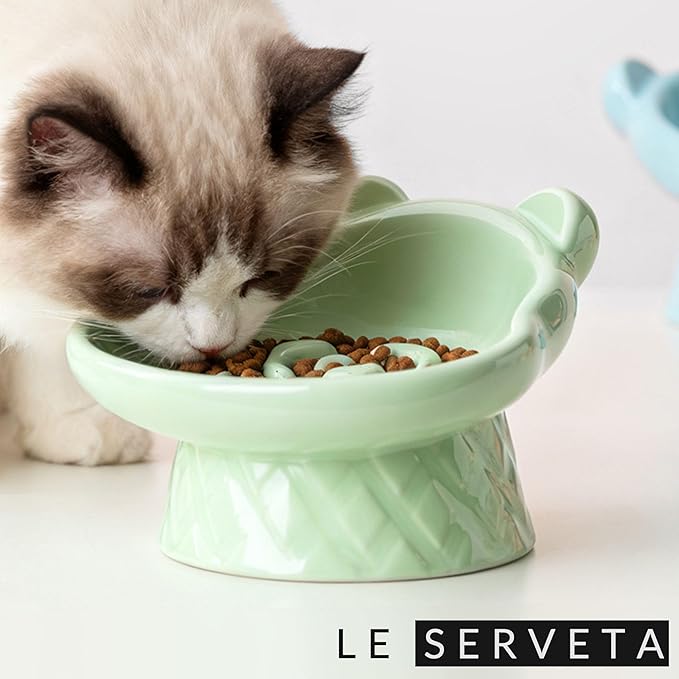 Winnie The Pooh Series Ceramic Slow Feeder Cat Bowl, Raised Anti-Gulping Design with Bear Ears, Pastel Colors, Quilted Pattern Base (Green)