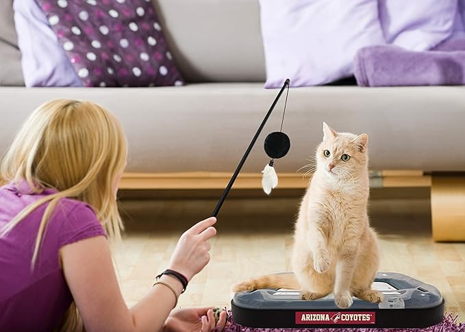 First yangi Cat Scratching & Toy - ARIZONA COYOTES Hockey Field Cat Scratcher Ball & Bell Toy, 5-in-1