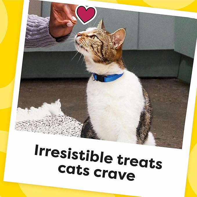 Temptations Cat Treats, Classic Crunchy and Soft Cat Treats, Seafood Medley Flavor, 30 oz. Tub