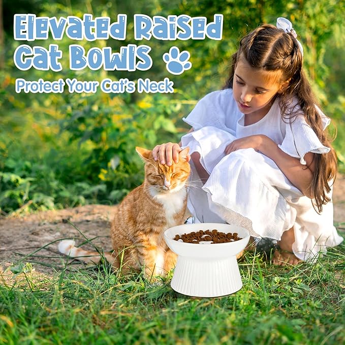 Tioncy 2 Pcs Raised Cat Slow Feeder Bowl Ceramic Elevated Cat Dog Food Bowl No Spill High Edge for Dry Wet Food and Water Easy to Clean, Dishwasher Safe (Dark Green,White)