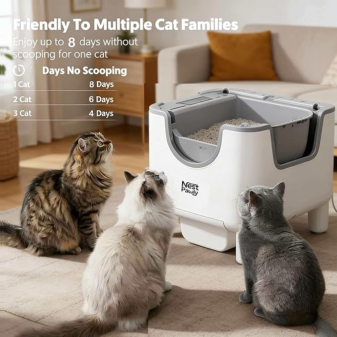 Early Bird Price NestPawly M07 Self-Cleaning Litter Box - Open-Top Automatic Cat Litter Box with Odor Control, Safety Features, and Easy Maintenance