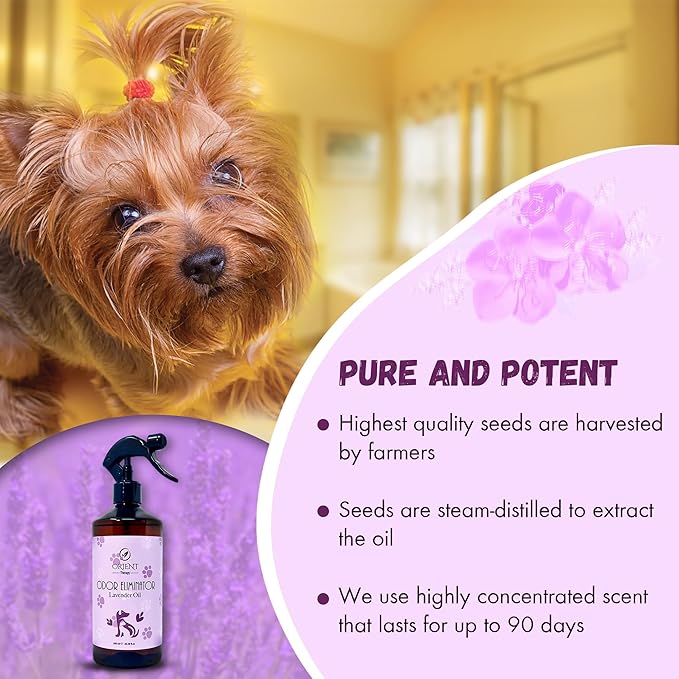 Pet Odor Eliminator Spray with Lavender Fragrance - Smelly Odor Remover & Deodorizer - Dog & Cat Stain Cleaner for Carpet, Bathroom, Car, Home & Office - 600ml