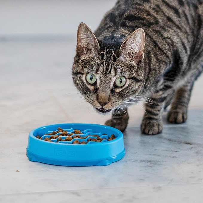 Catstages Kitty Slow Feeder Bowl for Cats & Small Dogs, Puzzle Dish for Fast Eaters, for Wet or Dry Food, Helps Slow Eating & Aid Digestion, Non-Slip, Made Without BPA, 3/4 Cup, 5-Inch, Blue