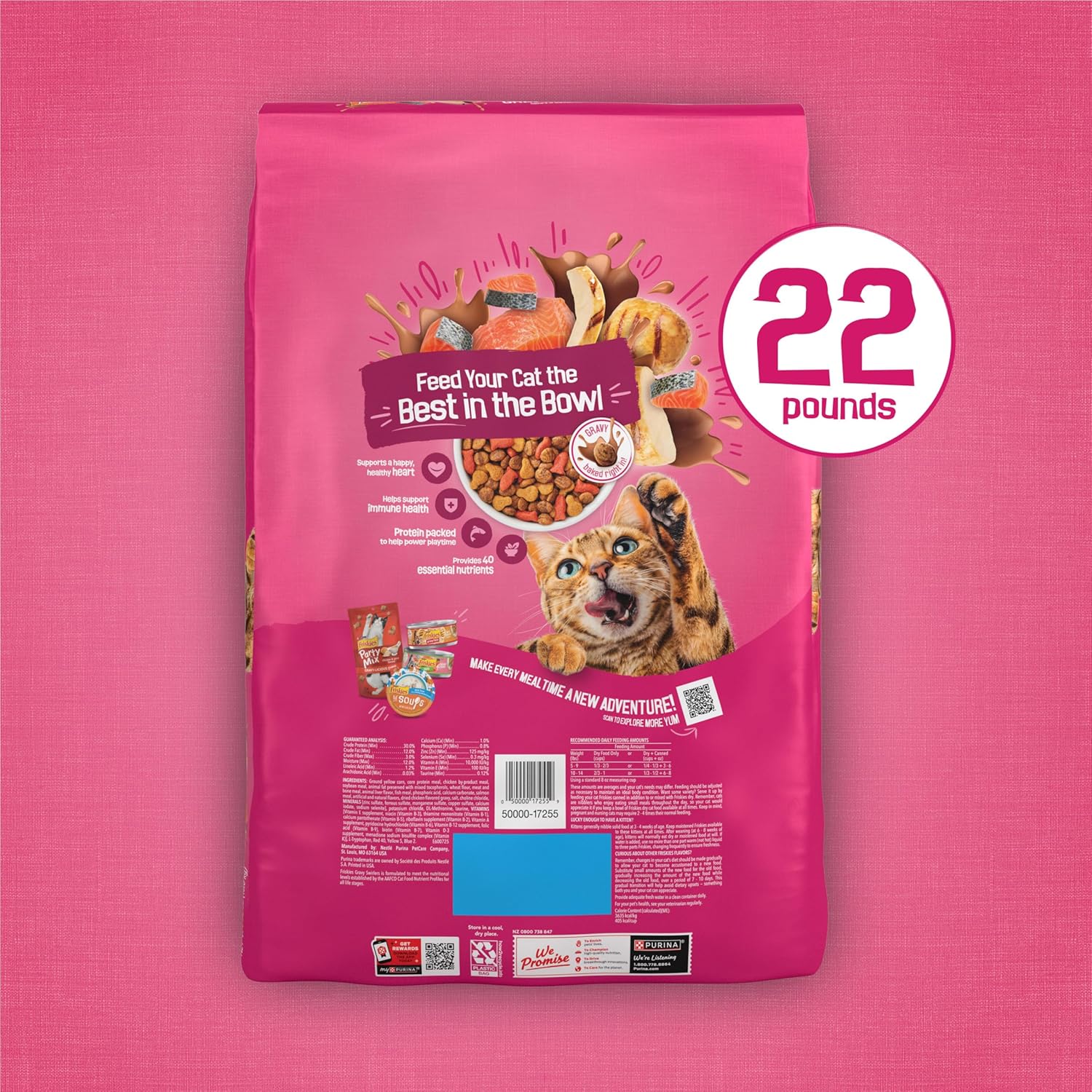 Purina Friskies Gravy Swirlers with Flavors of Chicken, Salmon and Gravy Dry Cat Food - 22 lb. Bag