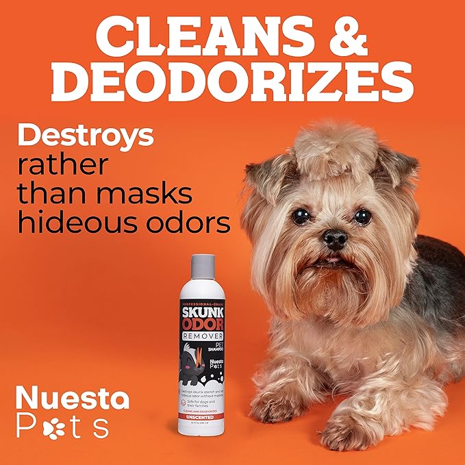 Pets Skunk Odor Remover Pet Shampoo (1 10 oz Bottle of Shampoo) | Stench Eliminator - Clean & Deodorize Dogs - Naturally Derived, pH Balanced - Safe and Gentle on Pets - Unscented