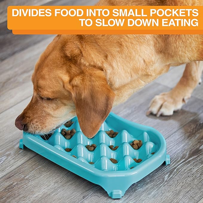 Neater Pet Brands Neater Slow Feeder Dog Bowls, Slows Down Fast Eaters to Help Digestion & Prevent Overeating, Non-Slip Food Bowl, BPA-Free, Holds 2.5 Cup of Food for Small to Medium Breed or Puppy