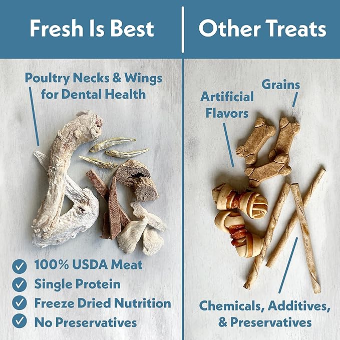 Fresh Is Best Salmon Fillets Freeze Dried Dog Treats – Raw Freeze Dried Fish for Cats & Canines in Resealable Zipper Bag – High-Protein Salmon Dog Treats – Made in the USA