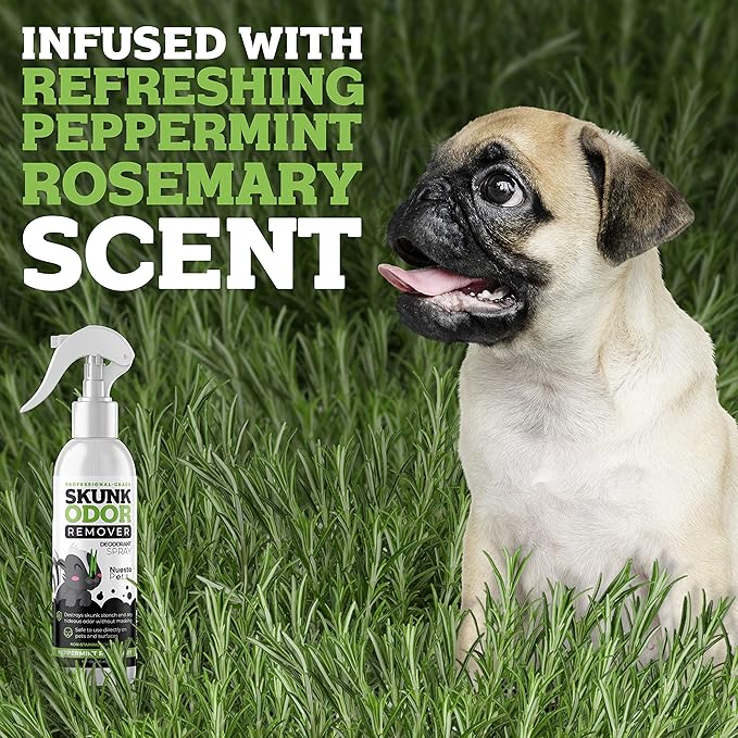 Pets Skunk Odor Remover Deodorant Spray (1 10 oz Bottle) | Stench Eliminator - Clean & Deodorize Dogs - Naturally Derived, pH Balanced - Refreshing Peppermint Rosemary Scent
