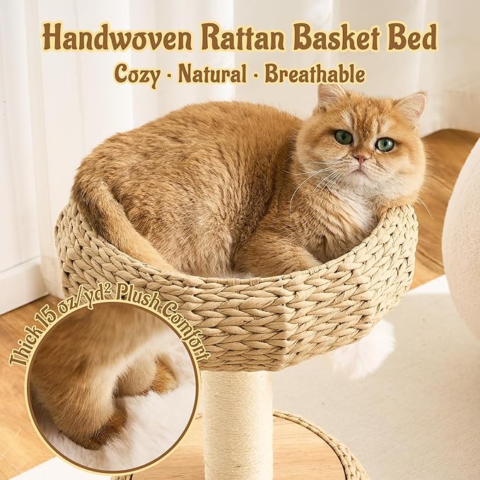 30" Modern Cat Tree Tower for Indoor Cats, Aesthetic Rattan Cat Furniture with Handwoven Wicker Cat Bed Cave, Ultra-Soft & Washable Cushions, Natural Sisal Scratching Post and Solid Wood Base