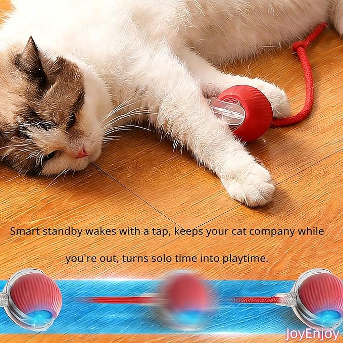 Interactive Cat Toy Ball Automatic Rolling Smart Cat Ball with Tail Motion Activated USB Rechargeable 3 Speed Modes Bird Chirping Durable Silicone Pet Toy for Indoor Cats Multiple Colors (Blue)