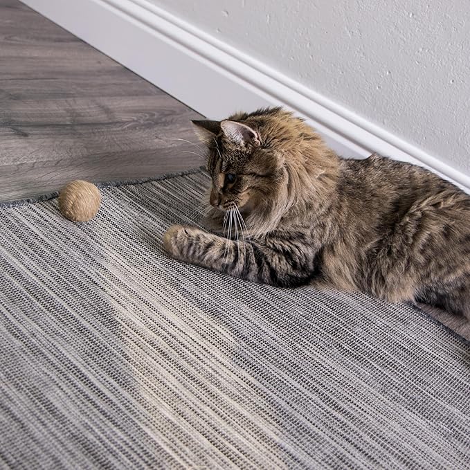 SmartyKat Catnip Toy, Compressed Catnip Ball for Indoor Cats & Kittens, Encourages Play with Less Mess, Cat Toy for All Ages, 5-Pack