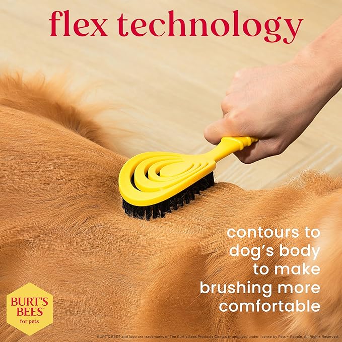 Burt's Bees for Pets Bristle Brush with Natural Boars Hair & Nylon with Handle Made from Recycled Plastics Collected from Coastal Communities - Eco Friendly De-Shedding Dog Brush for Grooming