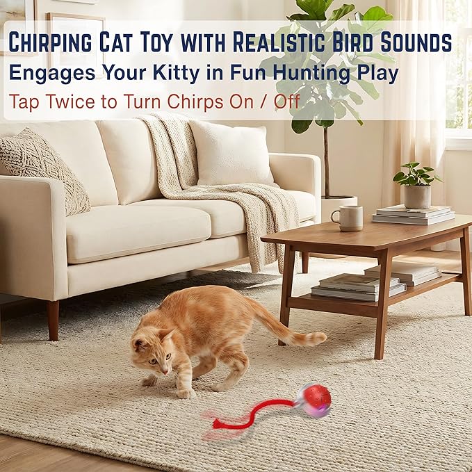 Interactive Cat Toy – Motion Activated Rolling Ball with LED Lights & 3 Play Modes & Two Different Tails - Best Toy for Indoor Cats & Kittens to Stay Active and Stimulate Hunting Instinct