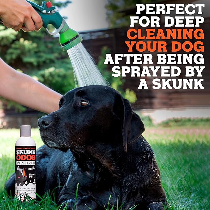 Pets Skunk Odor Remover Pet Shampoo (1 10 oz Bottle of Shampoo) | Stench Eliminator - Clean & Deodorize Dogs - Naturally Derived, pH Balanced - Safe and Gentle on Pets - Unscented