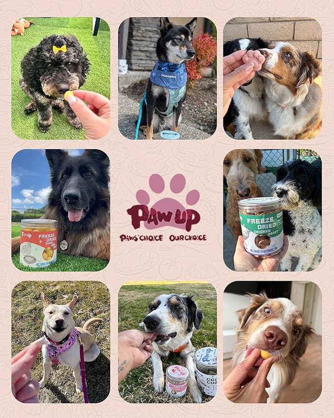 PAWUP Freeze Dried Duck Dog Treats & Food Topper, Limited Ingredient for Sensitive Stomach & Skin, High Protein Grain Free for Picky Eaters, Bulk Value Size 14 oz