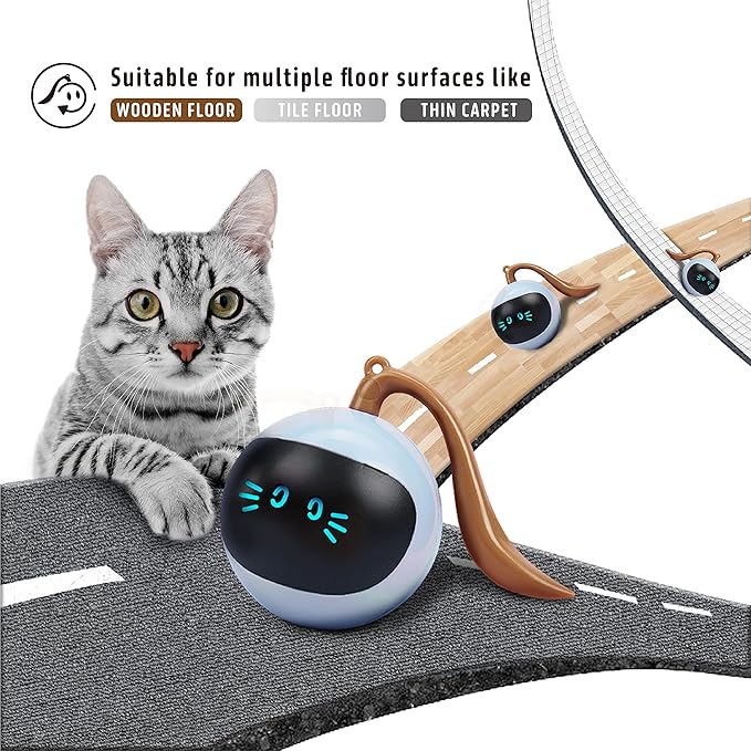 FOFOS Cat Toys 360°Self Rolling Ball Toy Interactive Toys Cat Wand Teaser Toys USB Charging Hunting Exercise Toys Indoor Gifts for Kitten/Puppy/Small Dogs (Blue)