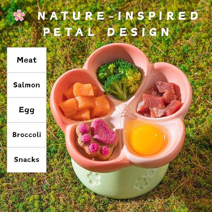 Ceramic Cat Divided Bowl Flower Shaped (5 Sections) - 4 Inch Elevated Design Cute Slow Feeder Bowl, Heavy Base, Under-Glazed Gradient Color - Separates Dry/Wet Food, Veggies, Fruits & Treats