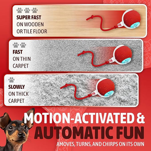 2025 New Interactive Pet Toy Ball for Indoor Cats & Small Dogs – Motion-Activated Automatic Rolling Ball with Chirping Sounds, Elastic Tail, Smart Rechargeable Toy to Keep Pets Active.
