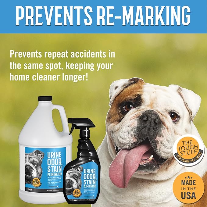 Arkwright Tough Stuff Urine Odor & Stain Eliminator Spray - Pet Safe Enzyme-Based Non-Toxic Cleaner for Floors, Carpets, and Furniture, 32 Fl. Oz. Spray Bottle, Fresh Scent