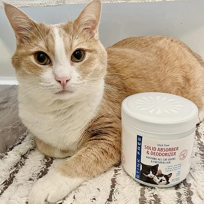 Cat Solid Freshener, Absorber & Deodorizer - Room Purifier, Bathroom Odor Eliminator, Basement, Bedroom, House, Office etc. 15 oz. Rainstorm Fragrance
