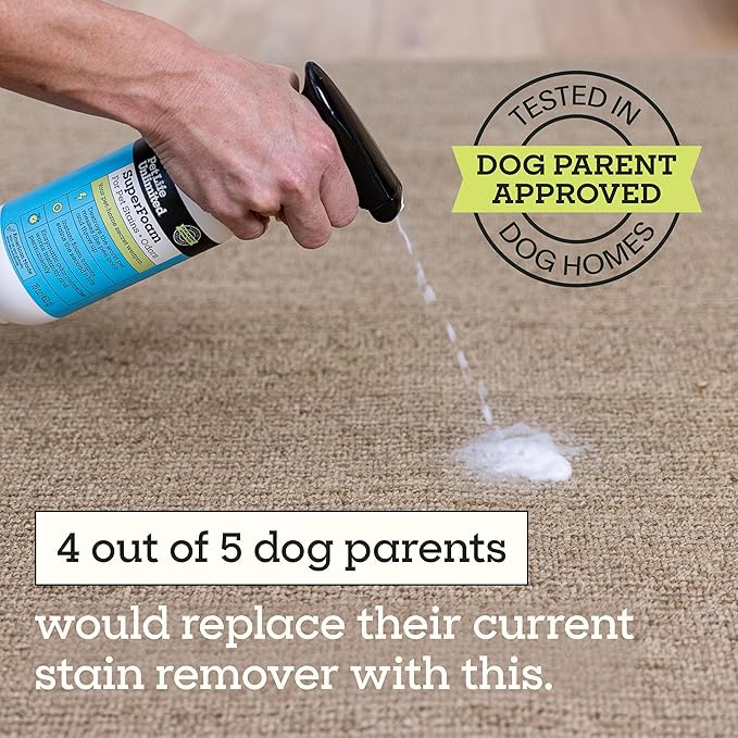 Pet Life Unlimited SuperFoam Spray, Carpet and Surface Cleaner for Dog Urine, 16 oz, Strong Odor & Stain Remover, Plant-Based Formula, Natural Juniper Leaf Scent, Two-Way Spray, USA Made (Pack of 1)