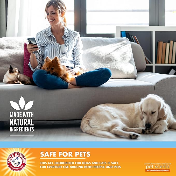 Arm & Hammer Pet Scents Gel Odor Eliminator,Solid Baking Soda Deodorizer for Pet Areas,Homes,Litter Boxes,and Rooms,Long-Lasting Odor Control,Fresh Breeze Scent,15 Oz,(Pack of 12)