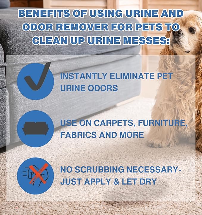 Instantly Urine Odor Remover for Pets - Eliminator for Cat & Dog Pee, Best Oxidizer Based Urine Cleaner for Carpets, House, Rugs, Mattress, etc. 2-128 Oz (2 Gallons)