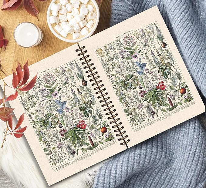 KDHTY Vintage Plant Nature Journal, Medicinal Botanical College Notebook, Medical Notebook, Medicinal Plant Biomedicine Herbalism Learning Spiral Notebook 5.5x8.3
