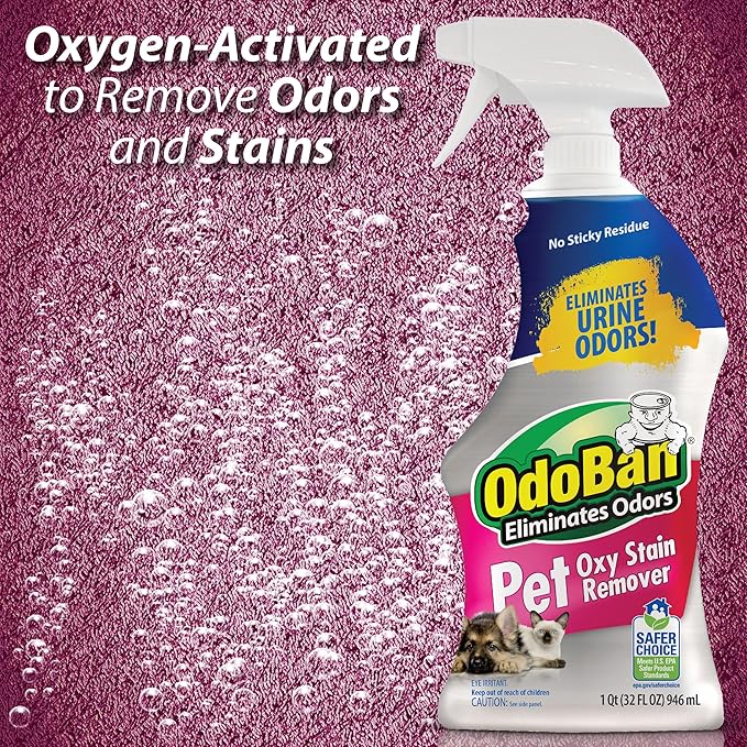 OdoBan Pet Solutions Oxy Stain Remover, Pet Stain Eliminator, 32 Ounce Spray