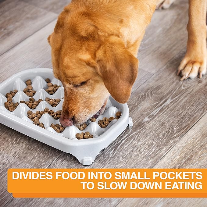 Neater Pet Brands Neater Slow Feeder Dog Bowls, Slows Down Fast Eaters to Help Digestion & Prevent Overeating, Non-Slip Food Bowl, BPA-Free, Holds 2.5 Cup of Food for Small to Medium Breed or Puppy