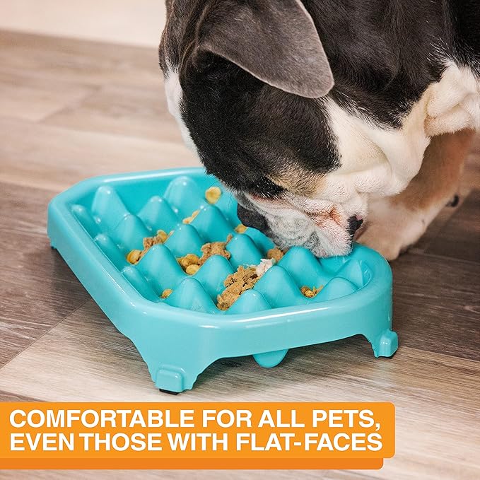 Neater Pet Brands Neater Slow Feeder Dog Bowls, Slows Down Fast Eaters to Help Digestion & Prevent Overeating, Non-Slip Dog Bowl, BPA-Free, Holds 6 Cups of Food for Medium to Large Breed Dogs or Puppy